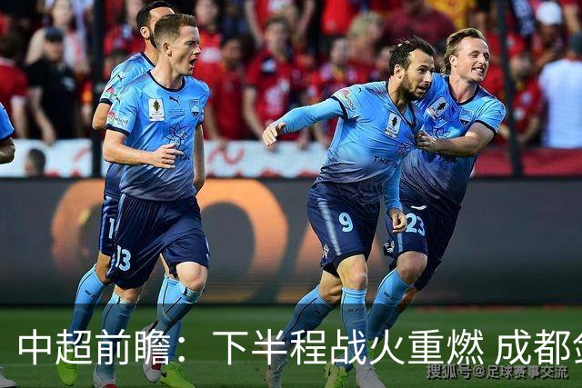 中超前瞻：下半程战火重燃 成都剑指三分申花求反弹